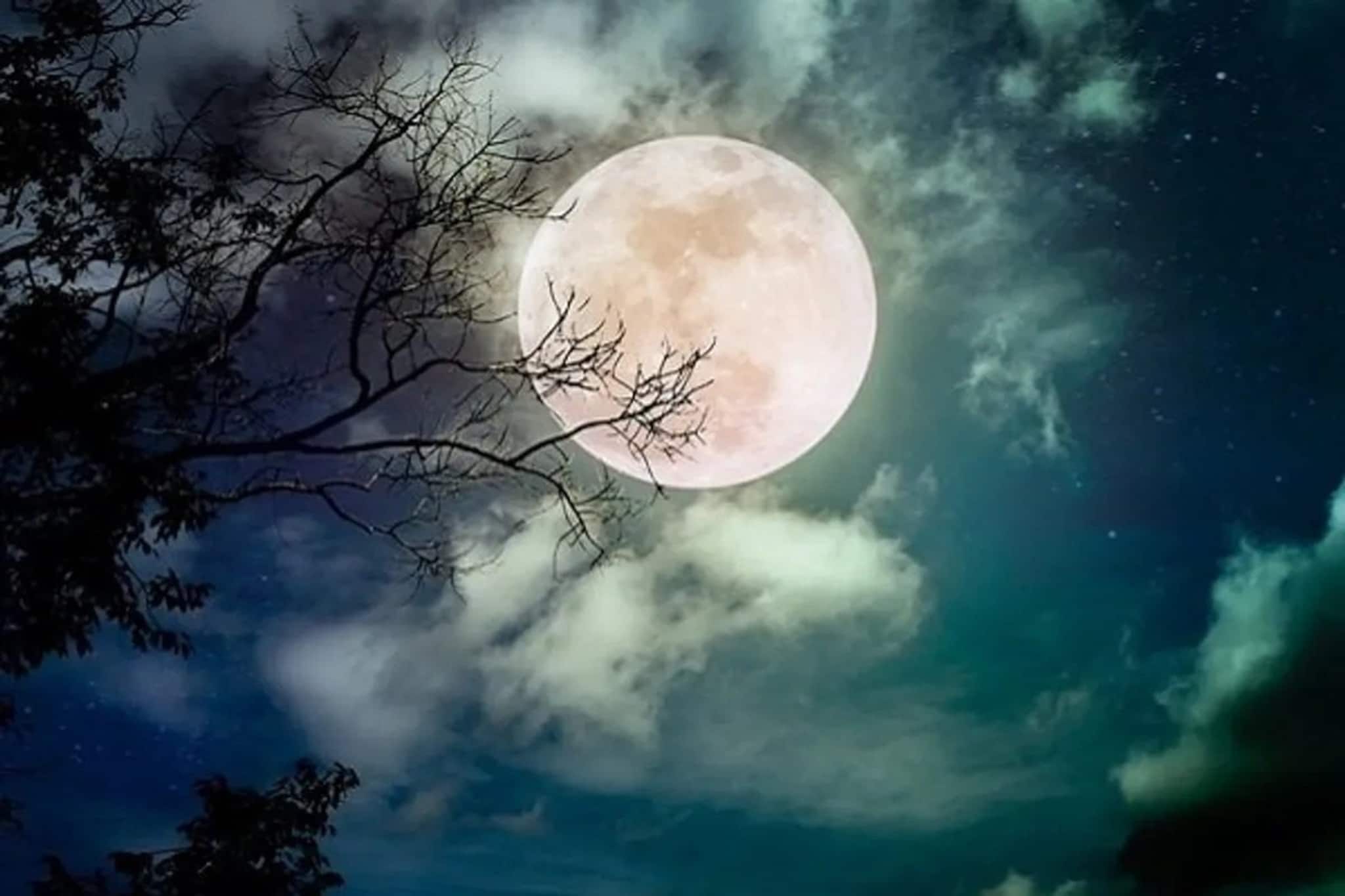 ২০২৬ সালে প্রথম পূর্ণিমায় বিরল যোগ...! গোপনে দান করুন 'এই' জিনিস, কাজ, বছরভর লক্ষ্মীলাভ