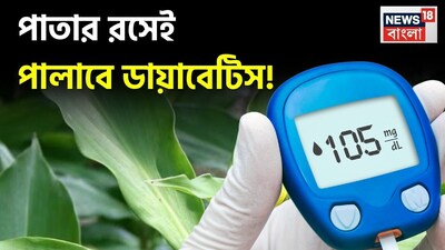 বিশ্বজুড়ে লক্ষ লক্ষ মানুষ ডায়াবেটিসে ভুগছেন। বর্তমানে ডায়াবেটিস মহামারির মতো ছড়িয়ে পড়ছে এবং সব বয়সের মানুষ এর শিকার হচ্ছে। ভারতে ডায়াবেটিস রোগীর সংখ্যা ১০ কোটি ছাড়িয়ে গেছে এবং ১৫ কোটি মানুষ এই রোগে আক্রান্ত হওয়ার ঝুঁকিতে রয়েছে। এই রোগটি কেবল রক্তে শর্করার মাত্রাকেই প্রভাবিত করে না, বরং ধীরে ধীরে শরীরকে ভেতর থেকে দুর্বল করে দেয়। 