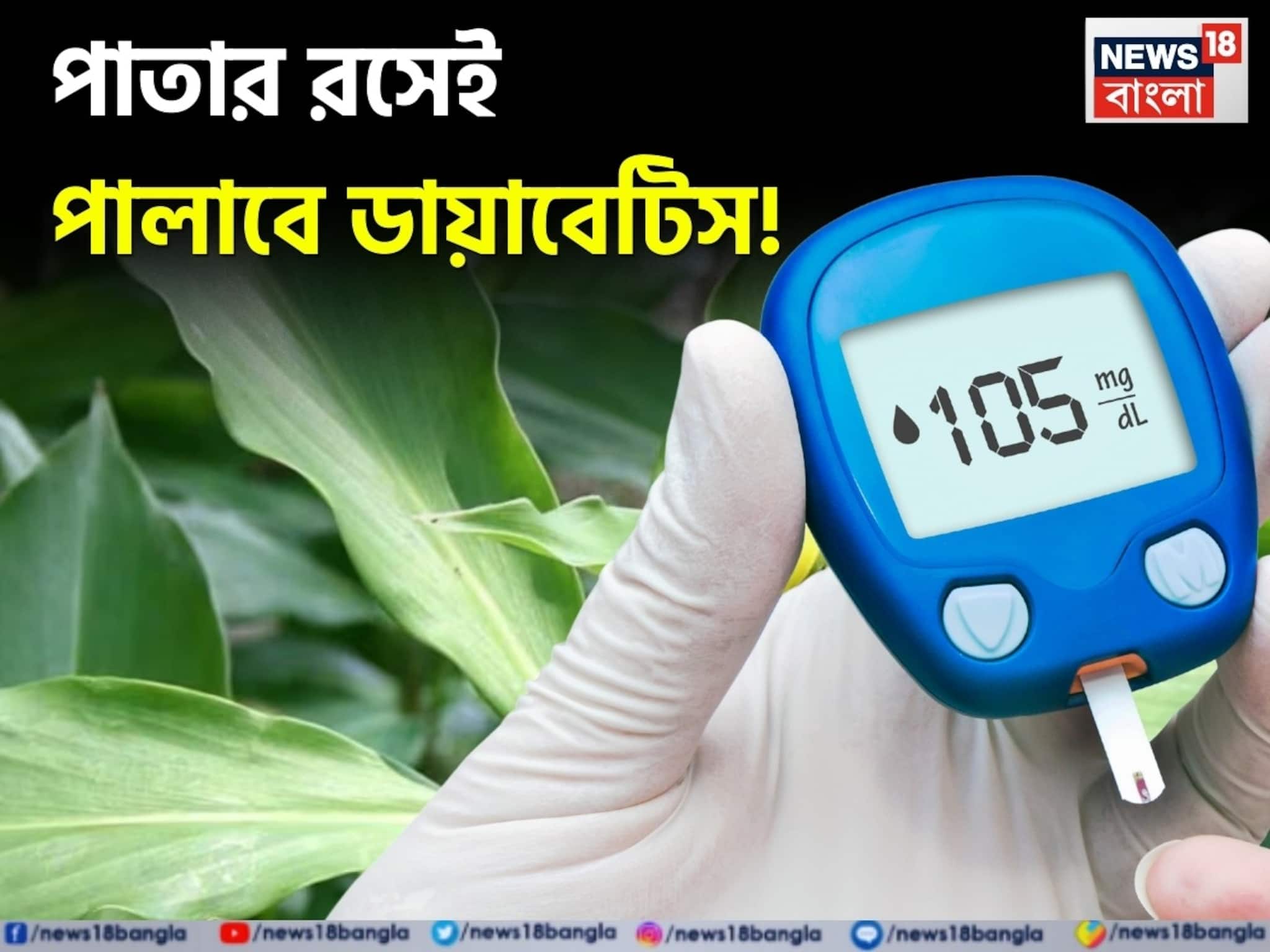 পাতার রসেই পালাবে ডায়াবেটিস! ব্লাড সুগারের ভরাডুবি! ইনসুলিন গাছের গুণে কমবে ওজনও!