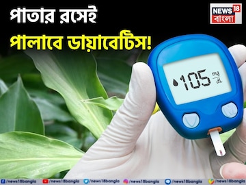 পাতার রসেই পালাবে ডায়াবেটিস! ব্লাড সুগারের ভরাডুবি! ইনসুলিন গাছের গুণে কমবে ওজনও! পাতার রসেই পালাবে ডায়াবেটিস! ব্লাড সুগারের ভরাডুবি! ইনসুলিন গাছের গুণে কমবে ওজনও!