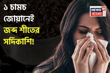 Ajwain in Cough & Cold: বার করে আনে দলা দলা কফ-শ্লেষ্মা! ১ চামচ জোয়ানেই জব্দ শীতের সর্দিকাশি! খুলবে বন্ধ নাক!
