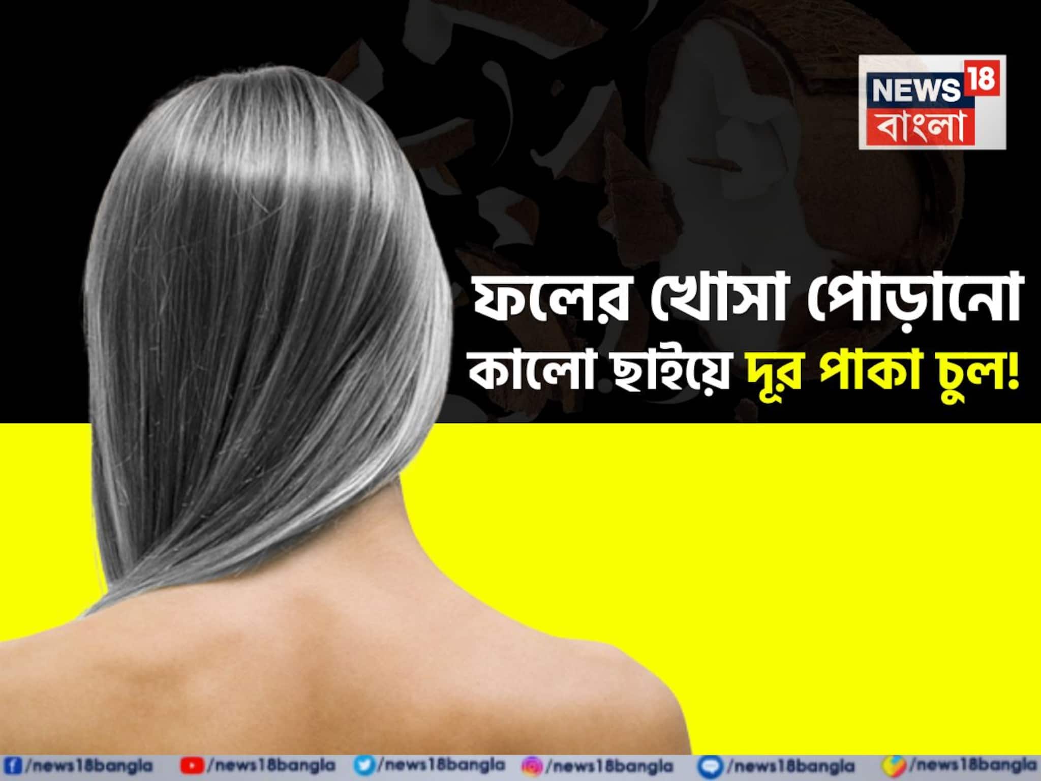 দামি কলপ-হেয়ার কালার ভুলে যান! নারকেলের ছোবড়া এভাবে মাখলেই পাকা চুল হবে কুচকুচে কালো!