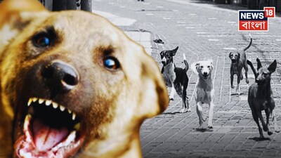 কুকুর, যদি হঠাৎ কুকুর তাড়া করে, কুকুর হঠাৎ তাড়া করলে কী করবেন, কুকুরের কামড়, কুকুরের তাড়া, কুকুরের আক্রমণ, কুকুরের হামলা থেকে বাঁচার উপায়, কুকুর আচমকা তাড়া করলে কী করবেন, কুকুরের কামড়ে কী করা উচিত, ডগ, ডগ বাইট, কুকুর হঠাৎ কামড়ালে কী করবেন, কুকুর, কুকুর কামড়ালে কী করবেন, কুকুরের কামড়ে সঙ্গে সঙ্গে কী করবেন, জলাতঙ্ক, জলাতঙ্ক থেকে বাঁচতে কী করবেন, কুকুরের কামড়ে সঙ্গে সঙ্গে করুন এই কাজ, জলাতঙ্কের ইনজেকশনের দেবেন কোথা থেকে, কুকরের কামড়ে যা করা উচিত, কুকরের কামড়, কুকুর তাড়া করলে কী করবেন, কুকুরের ডাকের অর্থ কী, কুকুর গৃহপালিত পশু, কুকুর, ডগ, ডগ ফ্যাক্টস, ডগ জিকে, কুকুর সংক্রান্ত সাধারণ জ্ঞান, রাস্তায় কুকুর তাড়া করলে কী করবেন, কুকুরের সাধারণ জ্ঞান, জেনারেল নলেজ, সাধারণ জ্ঞান,  জীবনধারা, বাংলার জ্ঞান, বাংলা খবর, ট্রেন্ডিং জেনারেল নলেজ, ট্রেন্ডিং জিকে, ভাইরাল নিউজ, ভাইরাল ট্রেন্ডিং নিউজ