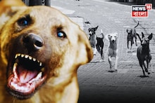 যদি 'কুকুর' হঠাৎ তাড়া করে..! সঙ্গে সঙ্গে করুন এই 'কৌশল', জানুন বিশেষজ্ঞের 'টিপস'!