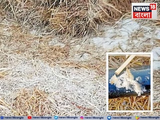 পুরুলিয়ায় দেখা মিলল ভূমি তুহিনের! পুরুলিয়ায় দেখা মিলল ভূমি তুহিনের!