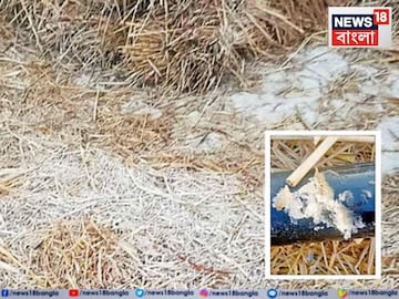 পুরুলিয়ায় দেখা মিলল ভূমি তুহিনের! পুরুলিয়ায় দেখা মিলল ভূমি তুহিনের!