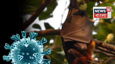 Nipah Virus Alert: Two Nurses Infected in West Bengal, Centre Dispatches Expert Team