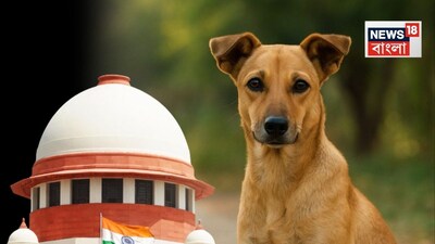 সুপ্রিম কোর্ট, কুকুর, পথ কুকুর, কুকুরের কামড়, পথকুকুকুর মামলায়, বিস্ফোরক রায় সুপ্রিম করতে, শীর্ষ আদালত, সুপ্রিম কোর্টের নির্দেশ, কুকুরের কামড়ে ক্ষতিপূরণ, কুকুর কামড়ালে ক্ষতিপূরণ দিতে হতে পারে রাজ্যকে, রাস্তায় কুকুর কামড়ানো, জলাতঙ্ক, কুকুর কামড়ানোর পদক্ষেপ,  কুকুর হঠাৎ তাড়া করলে কী করবেন, কুকুর হঠাৎ রাস্তায় তাড়া করলে কী করবেন, শিখে নিন এই ছোট্ট ট্রিক, গ্যারান্টি, সম্পূর্ণ নিরাপদ থাকবেন!কুকুরের ডাকের অর্থ কী, কুকুর গৃহপালিত পশু, কুকুর, ডগ, ডগ ফ্যাক্টস, ডগ জিকে, কুকুর সংক্রান্ত সাধারণ জ্ঞান, রাস্তায় কুকুর তাড়া করলে কী করবেন, কুকুরের সাধারণ জ্ঞান, জেনারেল নলেজ, সাধারণ জ্ঞান, জীবনধারা, বাংলার জ্ঞান, বাংলা খবর, ট্রেন্ডিং জেনারেল নলেজ, ট্রেন্ডিং জিকে, ভাইরাল নিউজ, ভাইরাল ট্রেন্ডিং নিউজ, কুকুর, কুকুর কোন রং দেখলে রেগে যায়, গবেষণা, কুকুর নিয়ে অজানা তথ্য, কুকুর কামড়ালে কী করবেন, কুকুর তাড়া করলে কী করবেন, কুকুরের ডাকের অর্থ কী, কুকুর গৃহপালিত পশু, কুকুর, ডগ, ডগ ফ্যাক্টস, ডগ জিকে