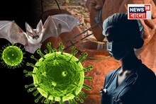 NIPAH Virus: বাংলাদেশ থেকেই ছড়াচ্ছে! নদিয়ার এই গ্রামই নিপা ভাইরাসের উৎস...রিপোর্ট দিল কল্যাণী AIIMS, রাজ্যে আক্রান্ত আরও ১