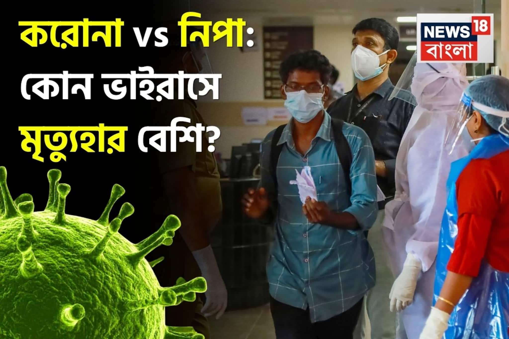 করোনা আর নিপার মধ্যে কোন ভাইরাস সংক্রমণ হারে বেশি ছোঁয়াচে? কোনটায় মৃত্যুহার বেশি? জানুন