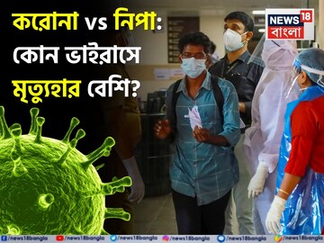 করোনা আর নিপার মধ্যে কোন ভাইরাস সংক্রমণ হারে বেশি ছোঁয়াচে? কোনটায় মৃত্যুহার বেশি? জানুন