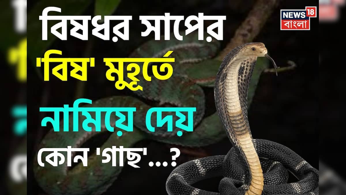 বিষধর সাপের ‘বিষ’ মুহূর্তে নামিয়ে দেয় কোন ‘গাছ’ জানেন…? শুনলেই কিন্তু চমকাবেন ‘নামে’!