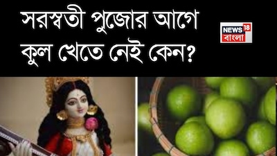 মাঘ মাস মানেই সরস্বতী পুজো৷ বাগদেবীর আরাধনা মানেই কুল খাওয়ার প্রসঙ্গ চলে আসে৷ বাঙালির ঘরে ঘরে এই রীতি প্রচলিত যে পলাশপ্রিয়ার পুজোর আগে কুল খেতে নেই৷ কিন্তু কেন এই রেওয়াজ তৈরি হয়েছে, তার পিছনেও আছে স্বাস্থ্যগত কারণ৷