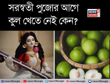 সরস্বতী পুজোর আগে কুল খাওয়া নিষেধ কেন? আসল কারণ জানলে চমকে যাবেন!
