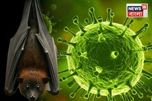 নিপা ভাইরাসের-উৎস খুঁজতে এয়ারপোর্ট এলাকায় পুণের ন্যাশনাল ইনস্টিটিউট অব ভাইরোলজ়ির টিম, চলছে বাদুরের সমীক্ষা!