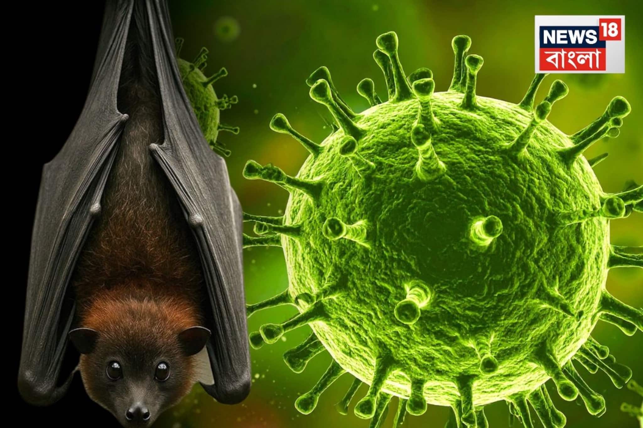 নিপা ভাইরাসের-উৎস খুঁজতে এয়ারপোর্ট এলাকায় পুণের ন্যাশনাল ইনস্টিটিউট অব ভাইরোলজ়ির টিম