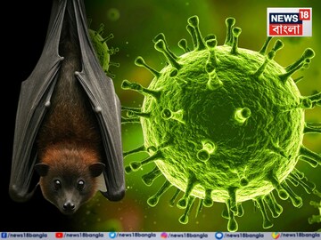 নিপা ভাইরাসের-উৎস খুঁজতে এয়ারপোর্ট এলাকায় পুণের ন্যাশনাল ইনস্টিটিউট অব ভাইরোলজ়ির টিম