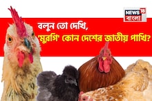 Knowledge Story: 'মুরগি' কোন দেশের জাতীয় পাখি? উত্তর দিতে গিয়ে হিমশিম খাচ্ছে অনেকেই! এবার আপনার পালা