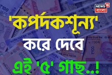 'কাঙাল' করে ছাড়বে...! বাড়িতে এই '৫' গাছ লাগালে তলানিতে ঠেকবে 'ব্যাঙ্ক ব্যালেন্স', তছনছ হয়ে যাবে সংসার, ঘিরে ধরবে ঘোর অন্ধকার!