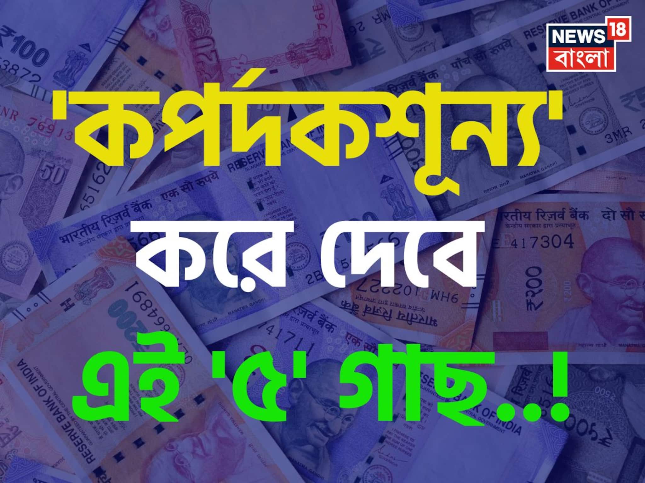 'কাঙাল' করে ছাড়বে...! বাড়িতে এই '৫' গাছ লাগালে তলানিতে ঠেকবে 'ব্যাঙ্ক ব্যালেন্স'