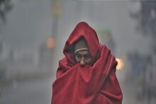 Cold Wave Alert: চরম শৈত্যপ্রবাহের সতর্কতা ২ জেলায়, ৬ জেলায় শীতল দিনের কাঁপুনি, এবারে কলকাতা-সহ বঙ্গে নিম্নচাপের বৃষ্টি? আবহাওয়ার বড় খবর