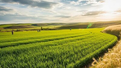পৃথিবীতে এমন এক দেশ আছে যে তার সমস্ত খাদ্য চাহিদা নিজেই পূরণ করে এবং তার সমগ্র জনসংখ্যার জন্য যথেষ্ট পরিমাণে সে সব উৎপাদন করে। তারা বিদেশ থেকে কিছুই আমদানি করে না। এটি একটি ছোট দেশ। এর জনসংখ্যার ৪০ শতাংশ ভারতীয় বংশোদ্ভূত, যাদের একসময় সেখানে পাঠানো হয়েছিল এবং এখন তারা সেখানকার স্থায়ী বাসিন্দা। দক্ষিণ আমেরিকার এই দেশটির নাম গায়ানা বা গুয়ানা। এর মোট জনসংখ্যা মাত্র ৮০০,০০০, যার মধ্যে ভারতীয় বংশোদ্ভূত মানুষের সংখ্যা ৩২০,০০০ থেকে ৩৫০,০০০-এর মধ্যে পড়ে। ১৯ শতকে যখন ভারত ব্রিটিশ শাসনের অধীনে ছিল, তখন ভারত থেকে প্রচুর সংখ্যক লোককে আখ চাষের কাজ করার জন্য সেখানে পাঠানো হত। এদের সাধারণত উত্তরপ্রদেশ, বিহার এবং আশপাশের অঞ্চল থেকে গায়ানায় পাঠানো হত। (Representative Image)