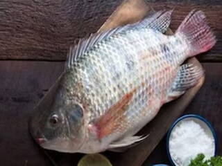 কাঁটার সমস্যা দূর করতে গবেষণাগারে নতুন প্রজাতি নিয়ে এল চিন