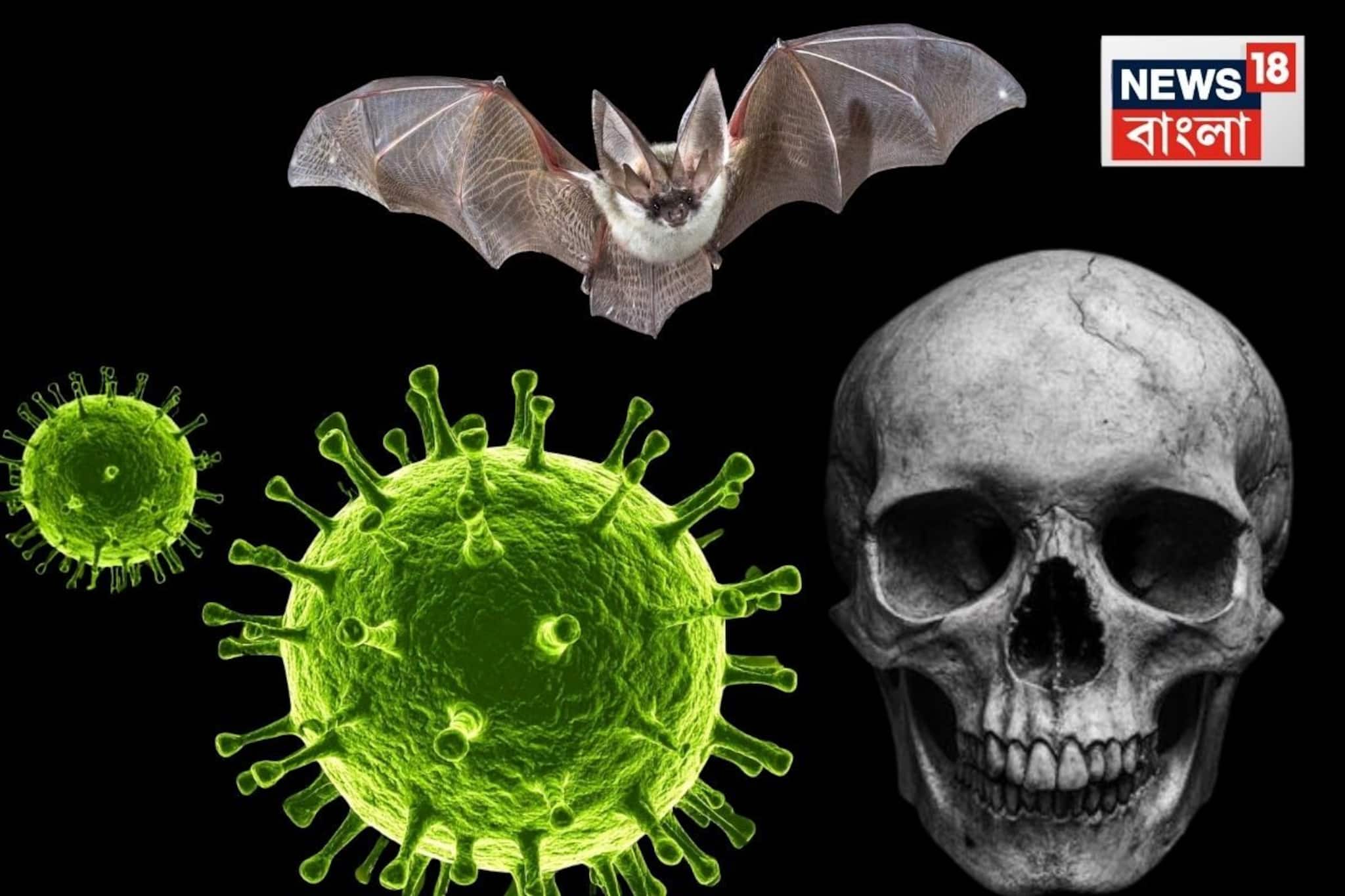 আরও একজনের শরীরে নিপা ভাইরাস? বর্ধমান মেডিক্যালের জুনিয়র ডাক্তারকে আনা হল কলকাতায়! আরও একজনের শরীরে নিপা ভাইরাস? বর্ধমান মেডিক্যালের জুনিয়র ডাক্তারকে আনা হল কলকাতায়!