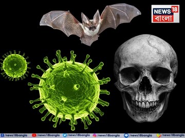 Nipah Virus:  হাত-পা বেঁকে যাওয়া, মস্তিষ্কের সমতা হারানো, নিপা হয়ে উঠতে পারে মারণ