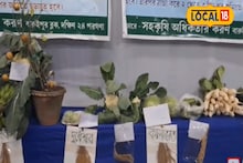 ২০ কেজির লাউ থেকে ১৬ ফুটের ঢেঁড়শ গাছ! বারুইপুর কৃষিমেলা হরেক চমক