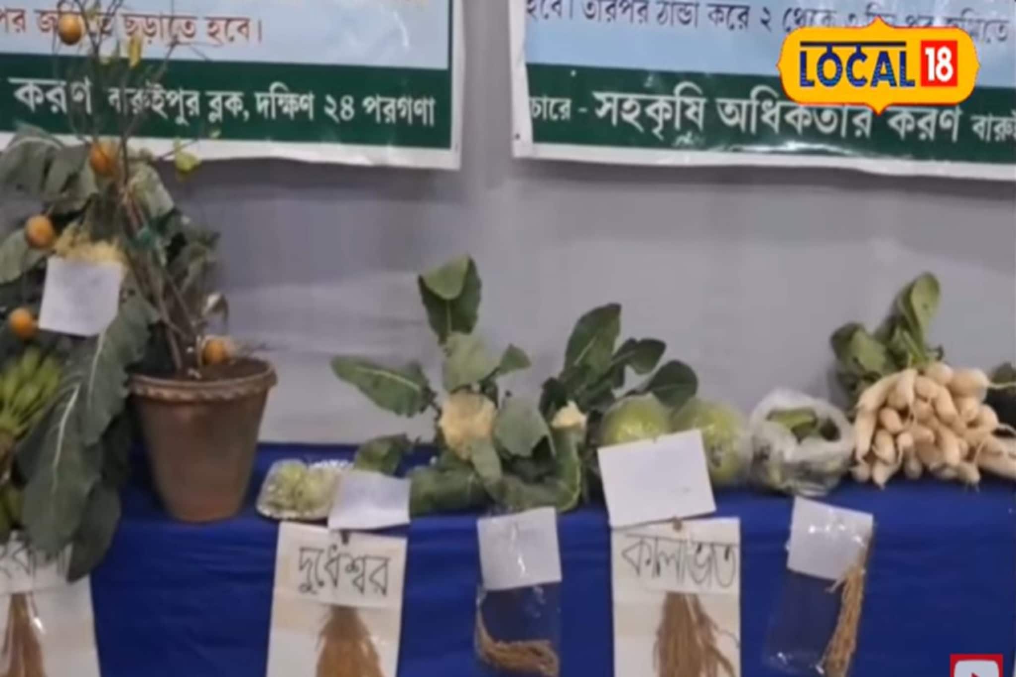 ২০ কেজির লাউ থেকে ১৬ ফুটের ঢেঁড়শ গাছ! বারুইপুর কৃষিমেলা হরেক চমক