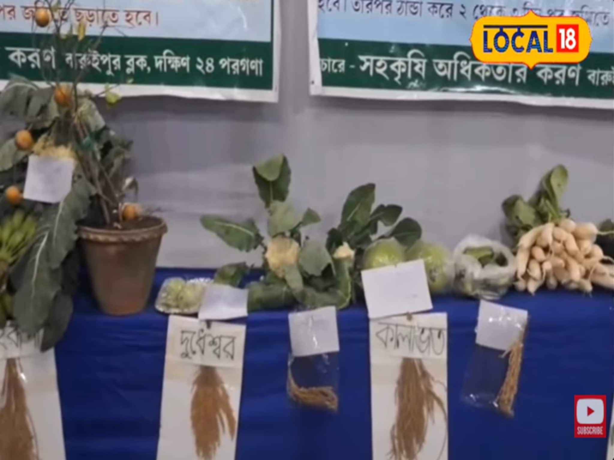 ২০ কেজির লাউ থেকে ১৬ ফুটের ঢেঁড়শ গাছ! বারুইপুর কৃষিমেলা হরেক চমক ২০ কেজির লাউ থেকে ১৬ ফুটের ঢেঁড়শ গাছ! বারুইপুর কৃষিমেলা হরেক চমক