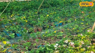 প্রতিকী ছবি