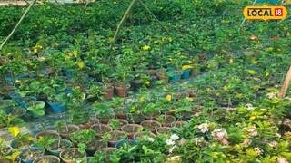 প্রতিকী ছবি