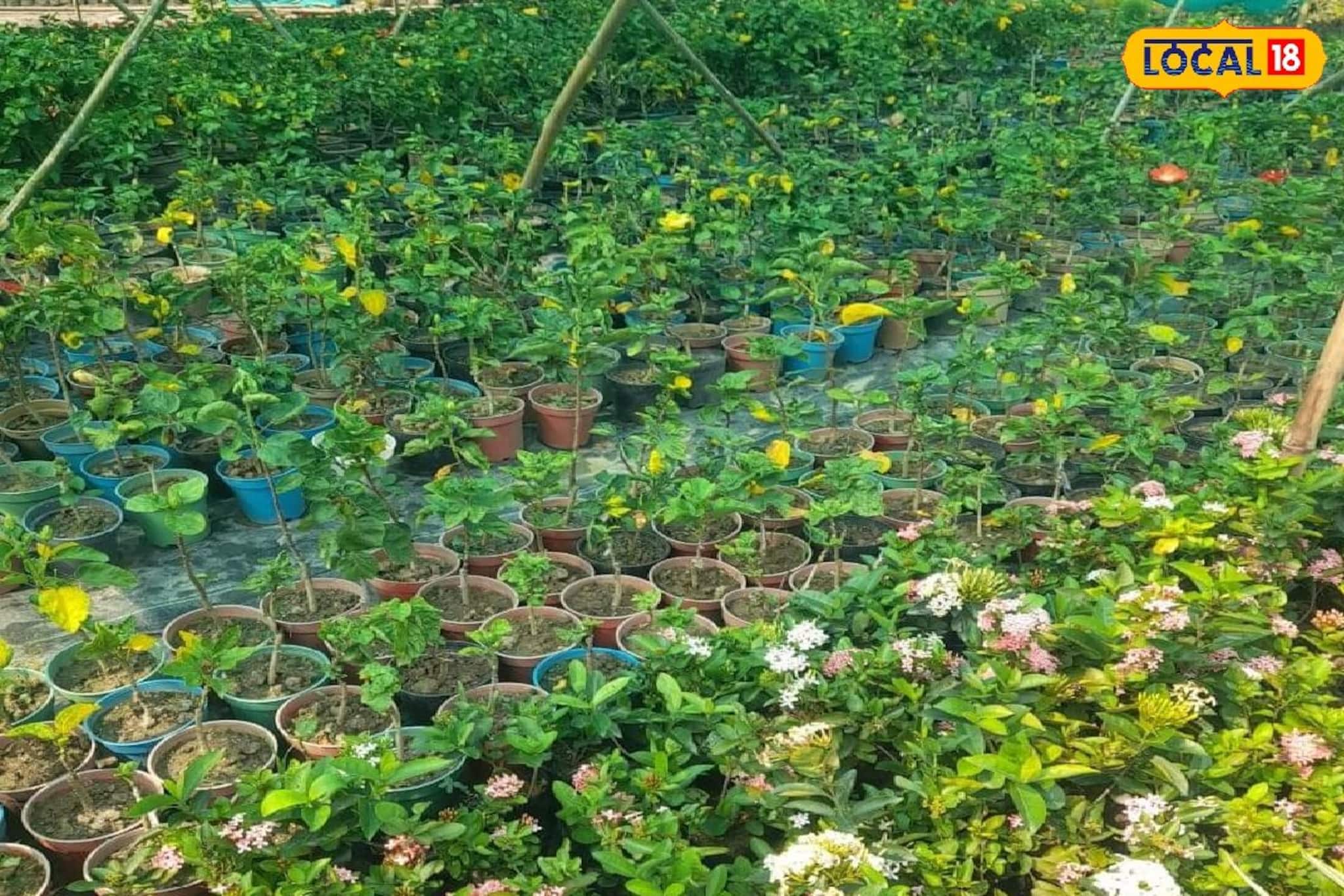 অভাবের 'সেই' গ্রাম এখন ফুলের বাগান, ঋণ নিয়ে ঘুুরে দাঁড়ানোর লড়াই! এখন পকেটে টাকার জোয়ার অভাবের 'সেই' গ্রাম এখন ফুলের বাগান, ঋণ নিয়ে ঘুুরে দাঁড়ানোর লড়াই! এখন পকেটে টাকার জোয়ার