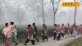 সংকোশ বাগানে শ্রমিকরা 