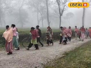 সংকোশ বাগানে শ্রমিকরা সংকোশ বাগানে শ্রমিকরা