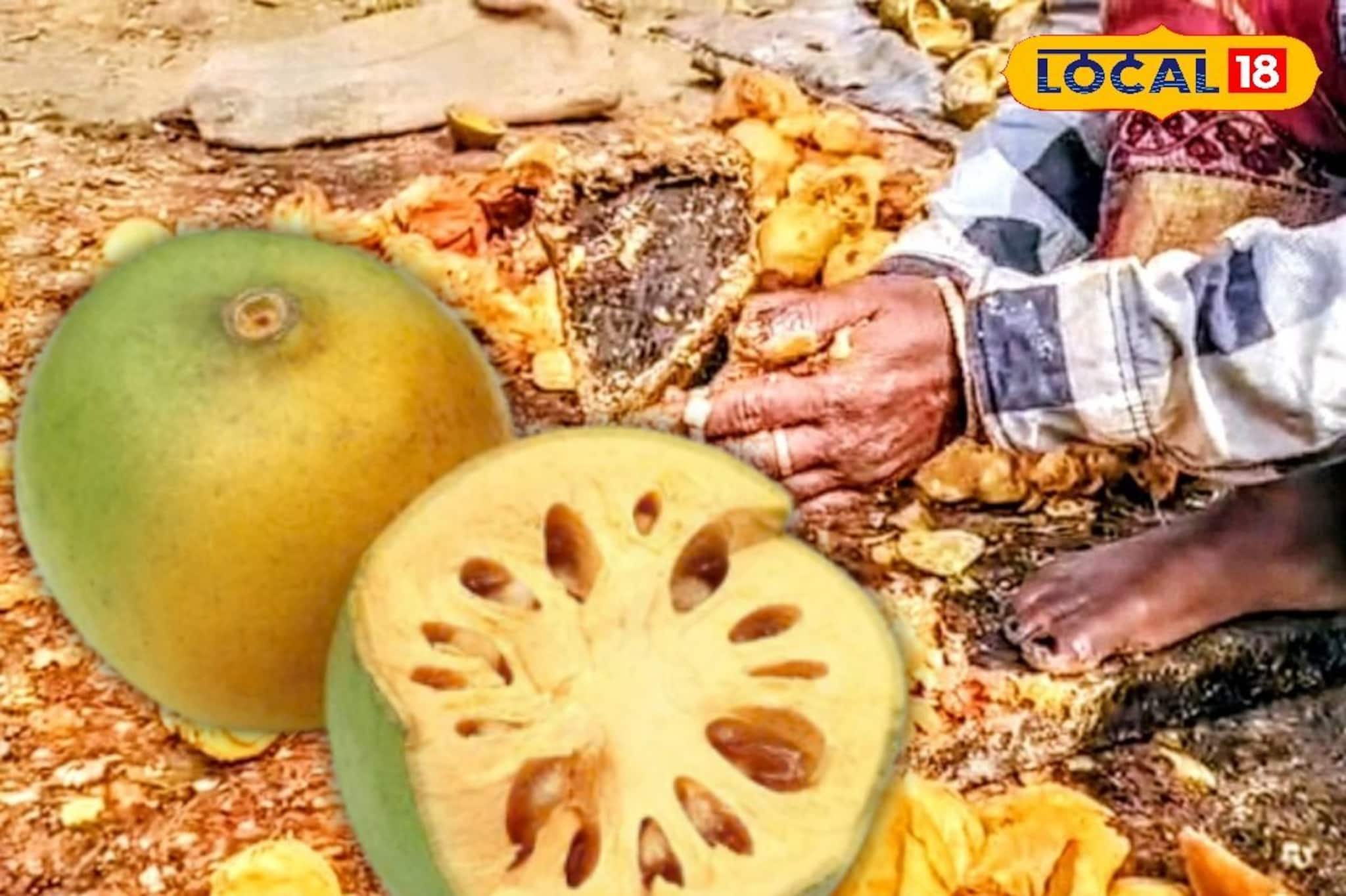 ফল নয় যেন ‘সোনা’! বাঁকুড়ার বেলের দিওয়ানা কলকাতা, লুফে নিচ্ছেন ব্যবসায়ীরা