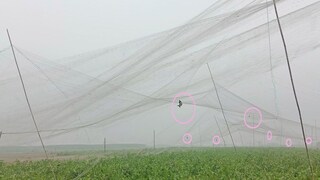 ফাইল ছবি ফাইল ছবি