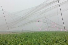 Murshidabad News: মাঠে পাতা জাল, ছটফট করছে ওরা! পুলিশ যেতেই ছুটল একদল মানুষ, উদ্ধার পেল নিরীহ পাখিগুলো