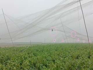 ফাইল ছবি ফাইল ছবি