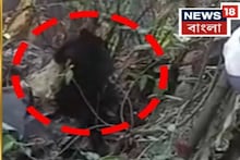 হঠাৎ স্কুল চত্বরে ওটা কী...? জলপাইগুড়িতে চাঞ্চল্য, দেখতেই চক্ষুচড়কগাছ বনকর্মীদের, দেখুন ভিডিও