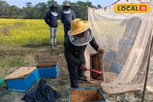 Money Making Tips: হাতি-লেপার্ডের আতঙ্ক ছুমন্তর! এবার কৃষি দফতরের সহযোগিতায় আয়ের নতুন দিশা, অঢেল লাভের আশায় আহ্লাদে আটখানা আলিপুরদুয়ারের মহিলারা