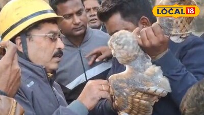 পেঁচা উদ্ধার