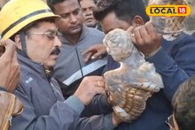 Birbhum News: ফায়ার ব্রিগেড ব্যর্থ! মৃত্যুর মুখ থেকে মাঞ্জা সুতোয় আটক পেঁচাকে বাঁচাতে গাছে চড়লেন দিনমজুর জাকির