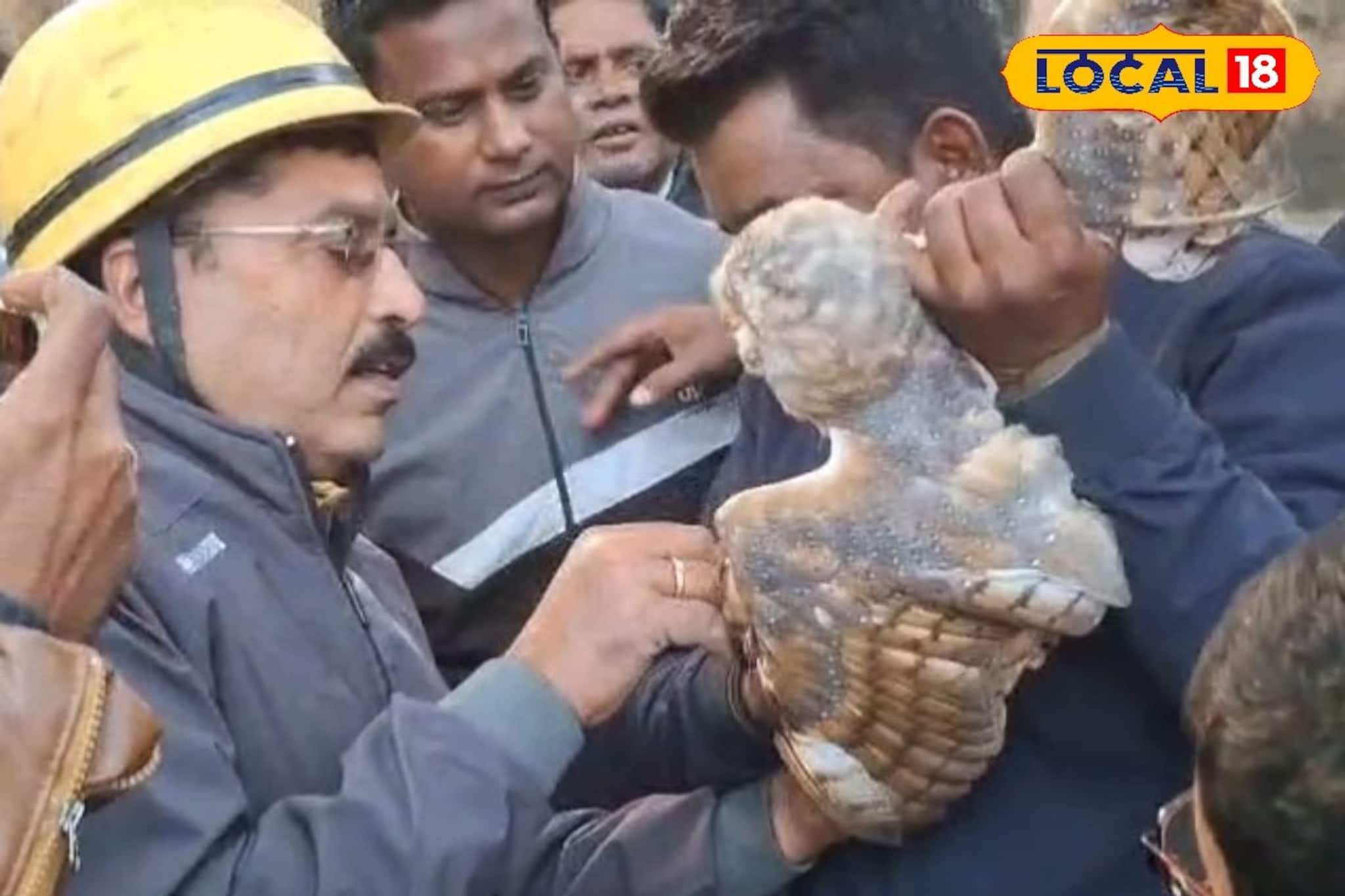 মাঞ্জা সুতোর ফাঁদে মৃত্যুর মুখে পেঁচা! দমকল ব্যর্থ, প্রাণ বাঁচালেন দিনমজুর জাকির