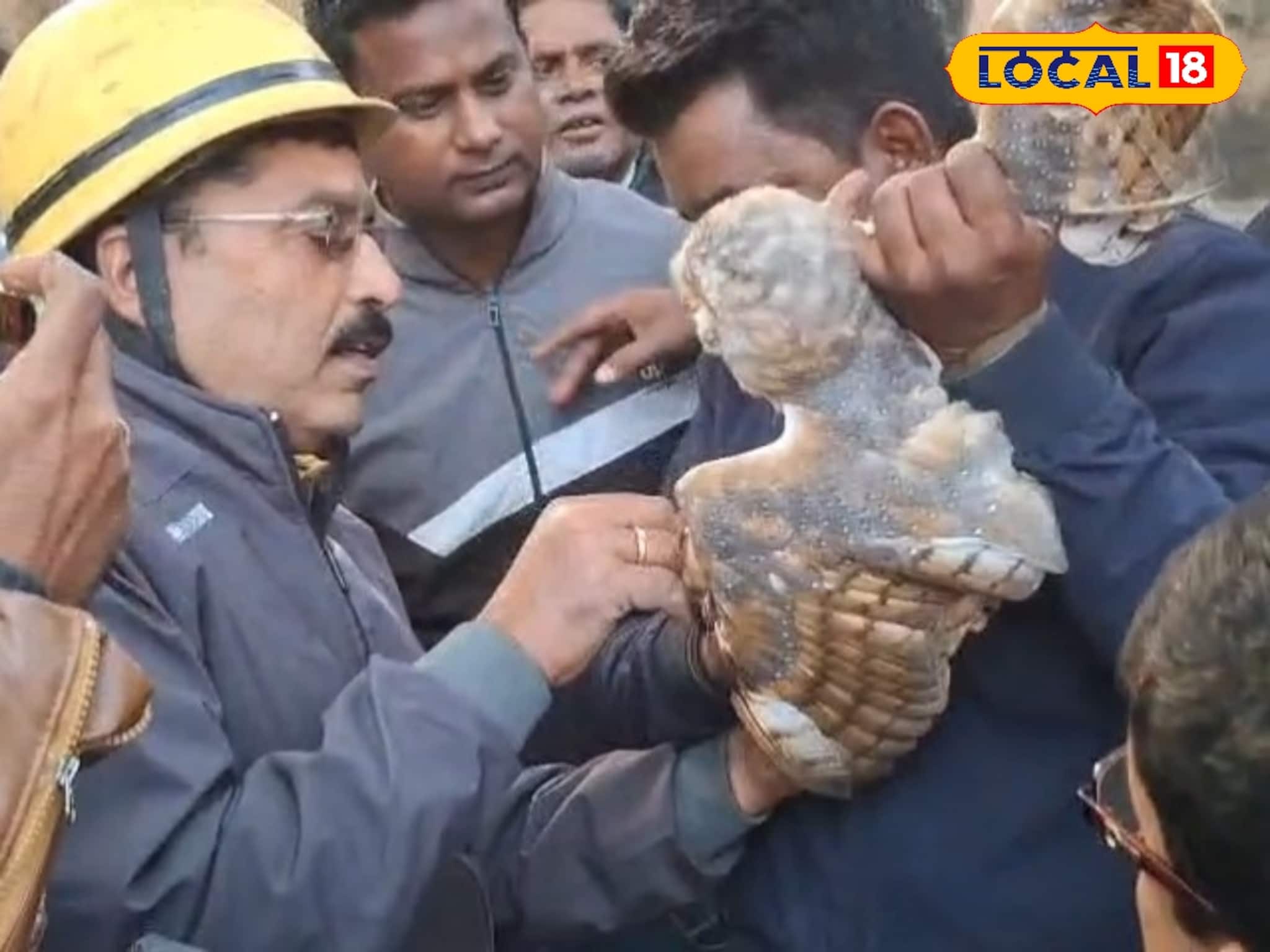 মাঞ্জা সুতোর ফাঁদে মৃত্যুর মুখে পেঁচা! দমকল ব্যর্থ, প্রাণ বাঁচালেন দিনমজুর জাকির মাঞ্জা সুতোর ফাঁদে মৃত্যুর মুখে পেঁচা! দমকল ব্যর্থ, প্রাণ বাঁচালেন দিনমজুর জাকির