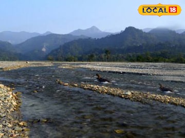 সেন্ট্রাল