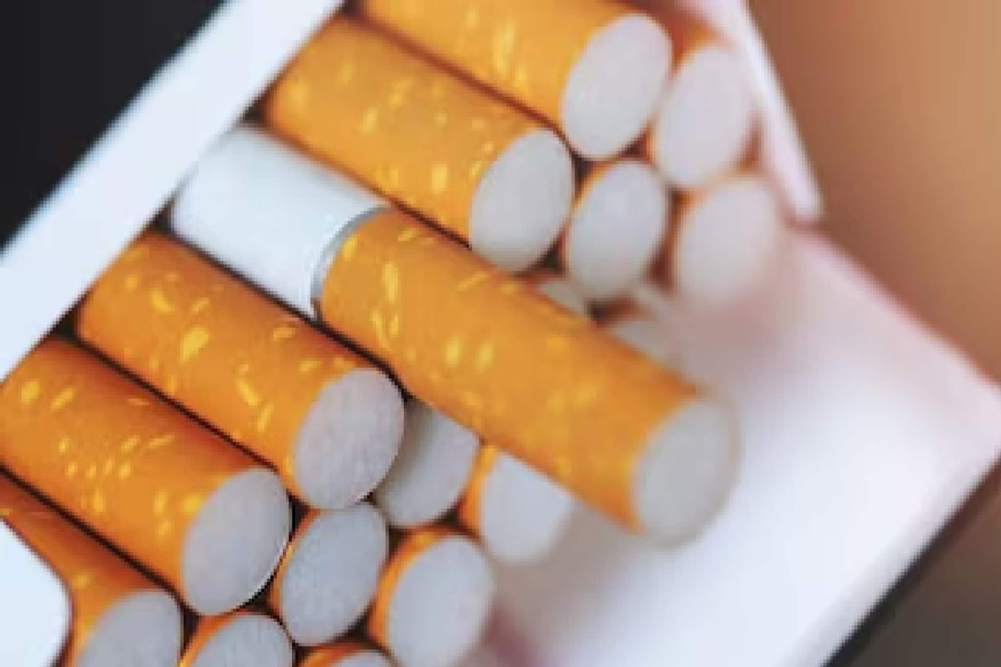 গুটখা, পান মশালা, তামাকজাত দ্রব্যে নিষেধাজ্ঞা জারি করল বাংলার পড়শি রাজ্য