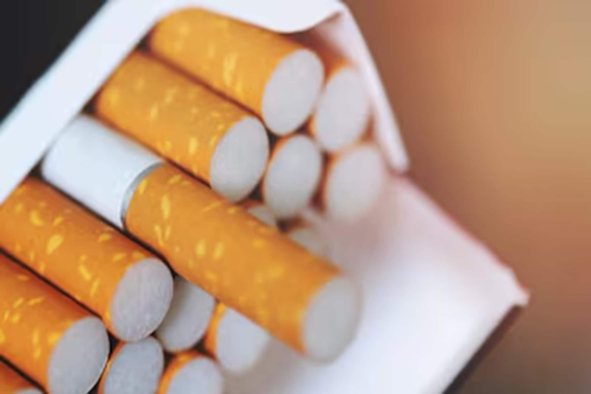 ১ ফেব্রুয়ারি, ২০২৬ থেকে কি সব সিগারেটের দাম বাড়ছে? কোনটা বাড়বে আর কোনটা নয় ১ ফেব্রুয়ারি, ২০২৬ থেকে কি সব সিগারেটের দাম বাড়ছে? কোনটা বাড়বে আর কোনটা নয়